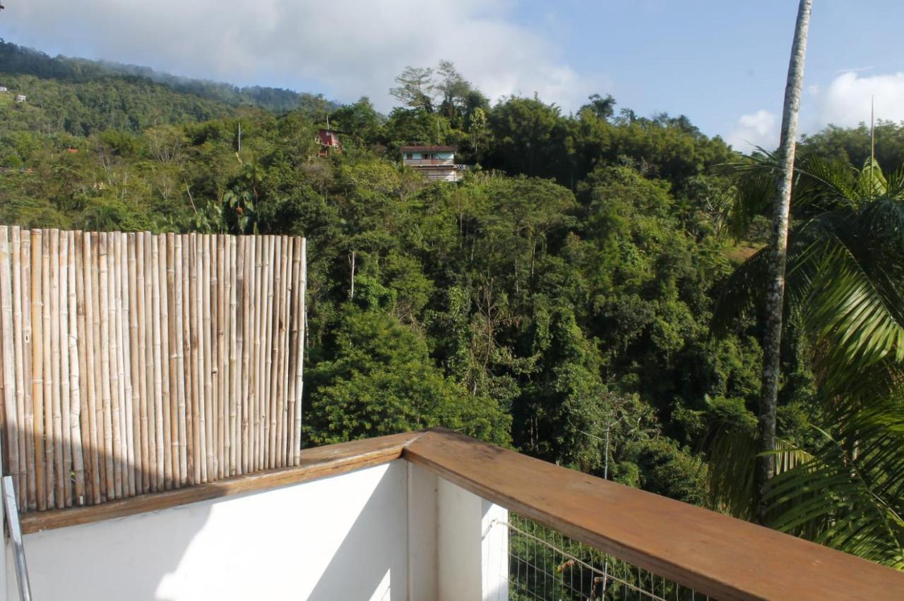 Homestay Toca Da Tulipa