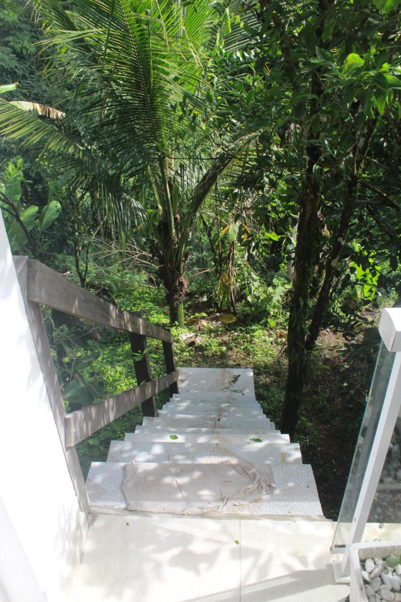 Homestay Toca Da Tulipa Paraty